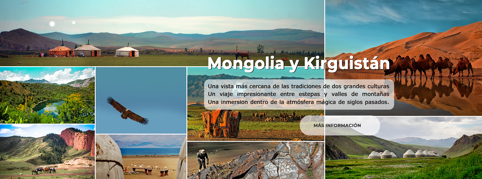 KG and Mongolia